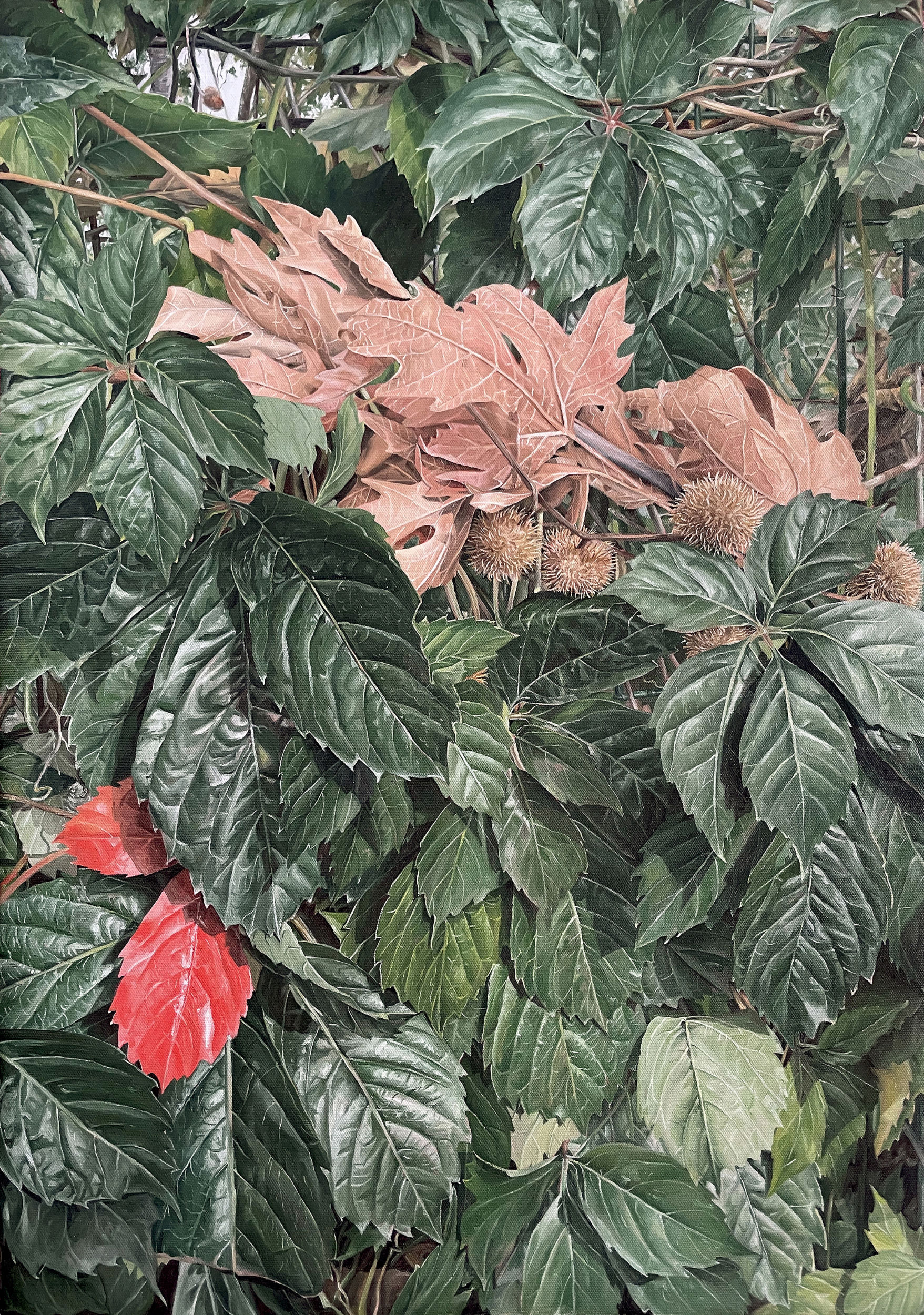 Deniz Bayav Octobre