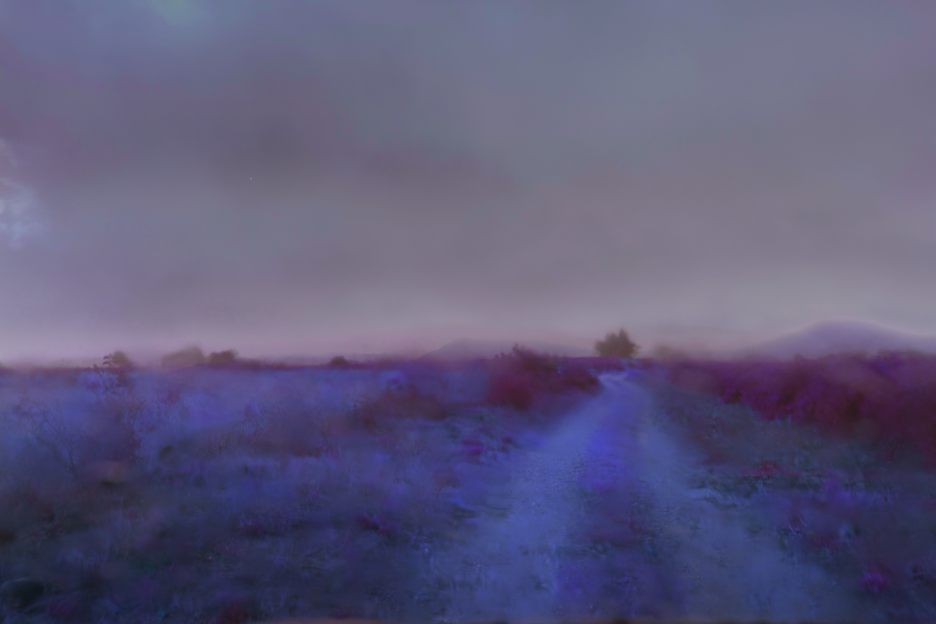 BlurryDays Johann Fournier
