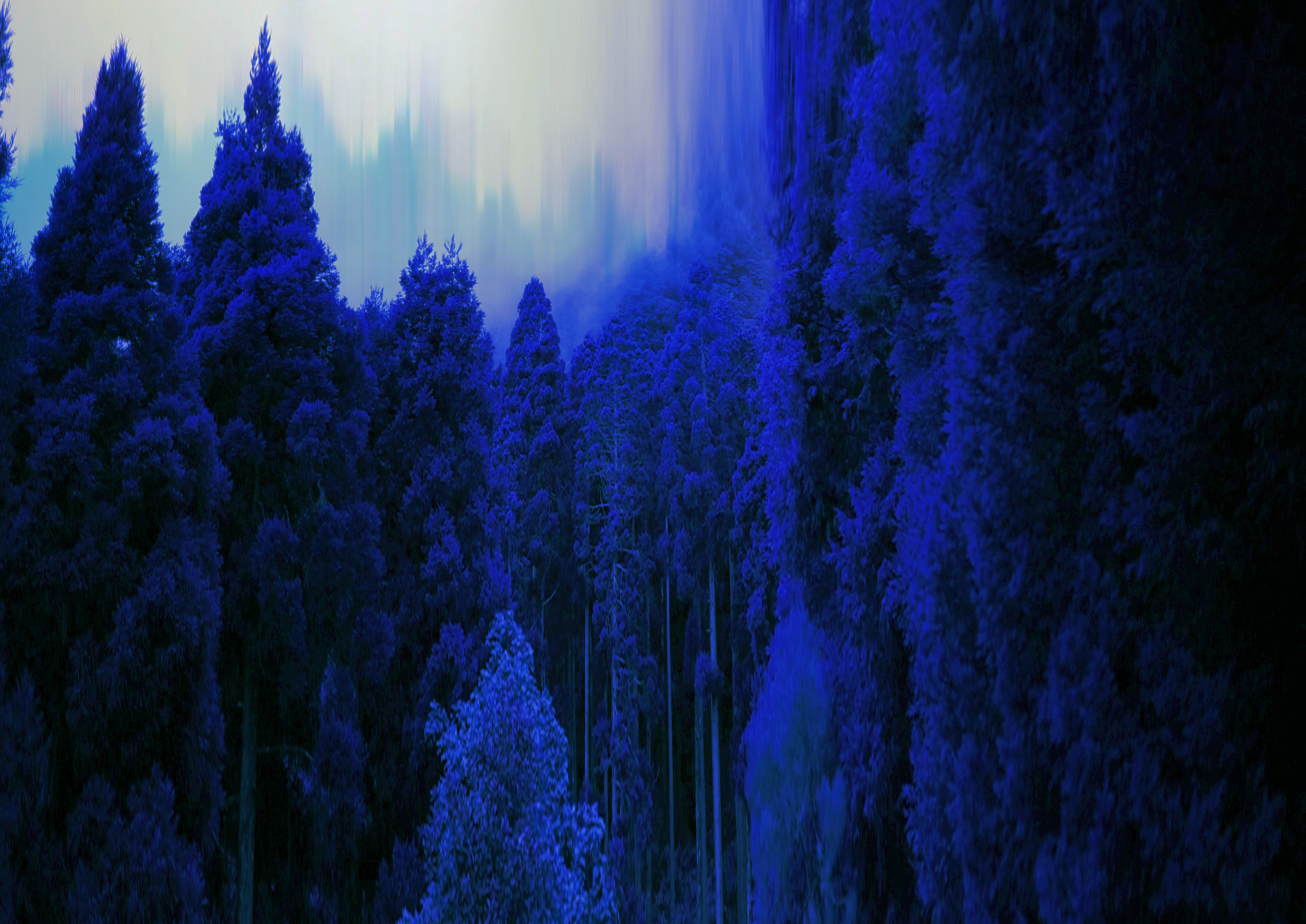 Les forêts qui pensent Johann Fournier