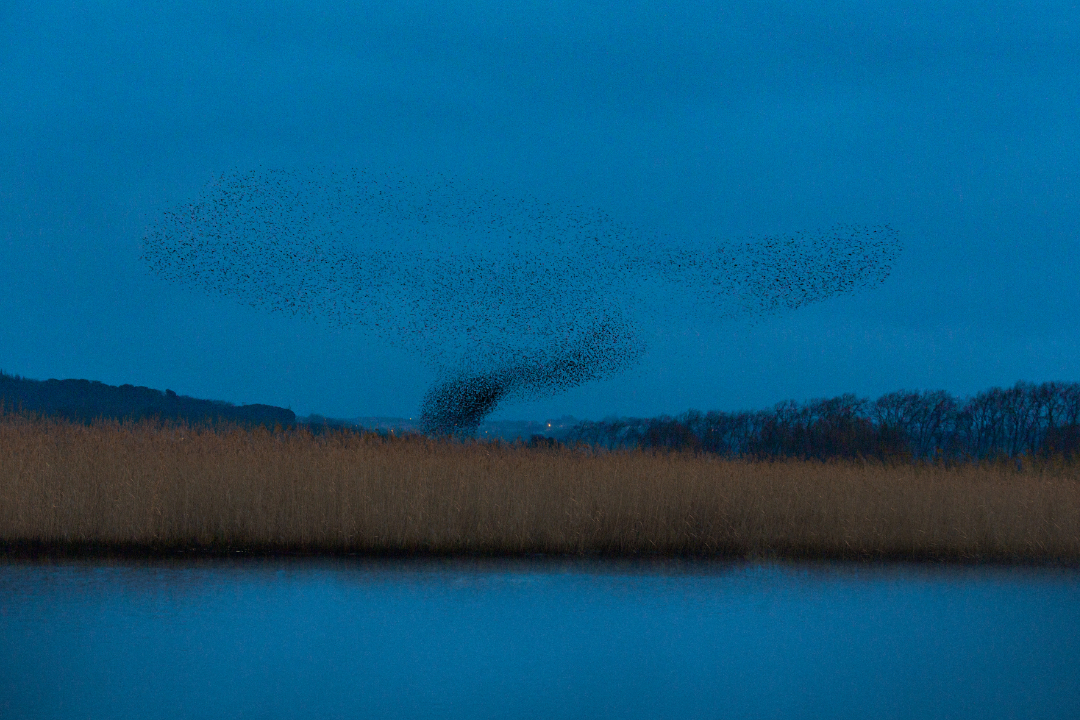 Bleu Refuges Johann Fournier_2