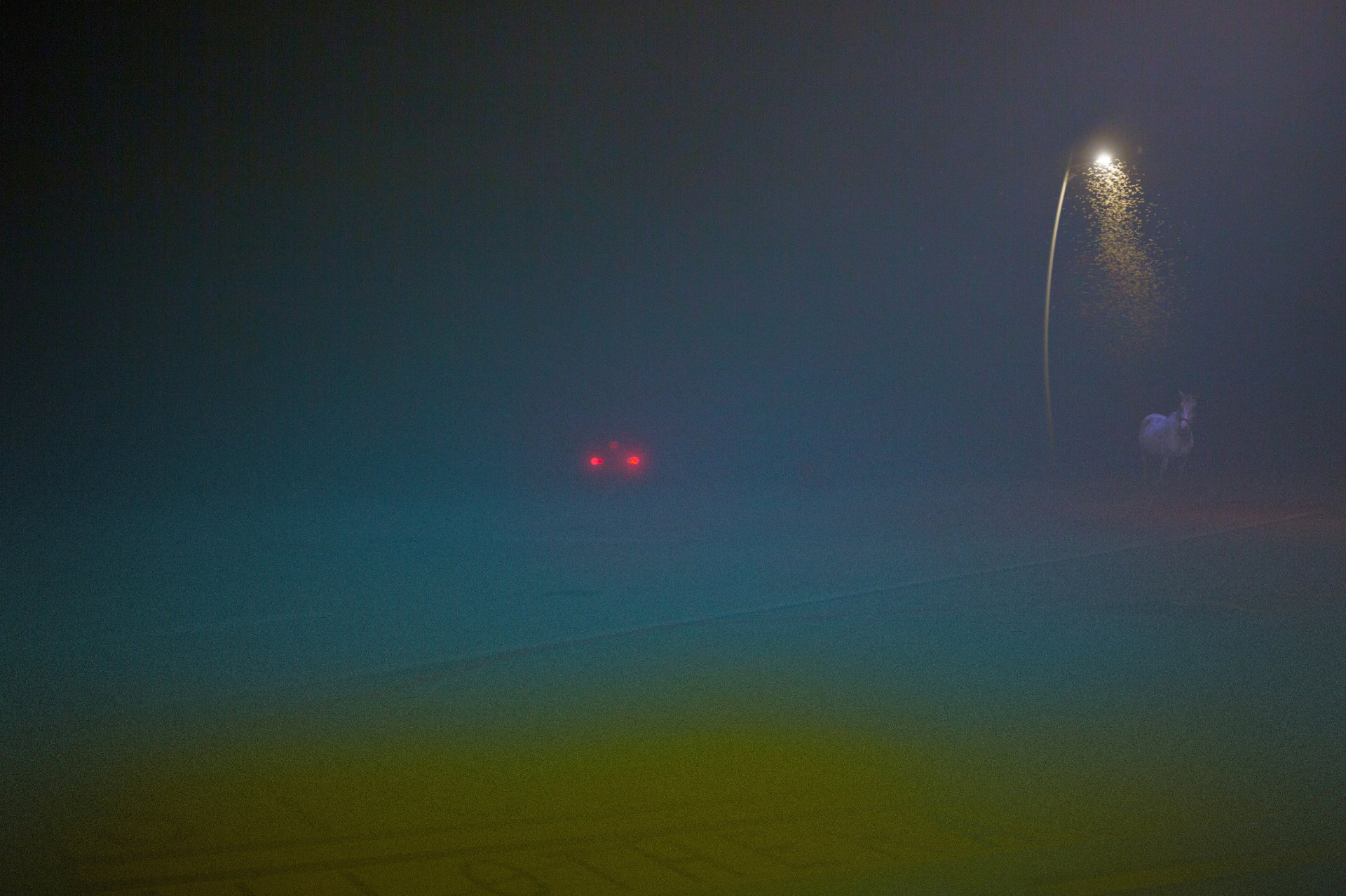 Johann Fournier Asphalte est la couleur de ma nuit