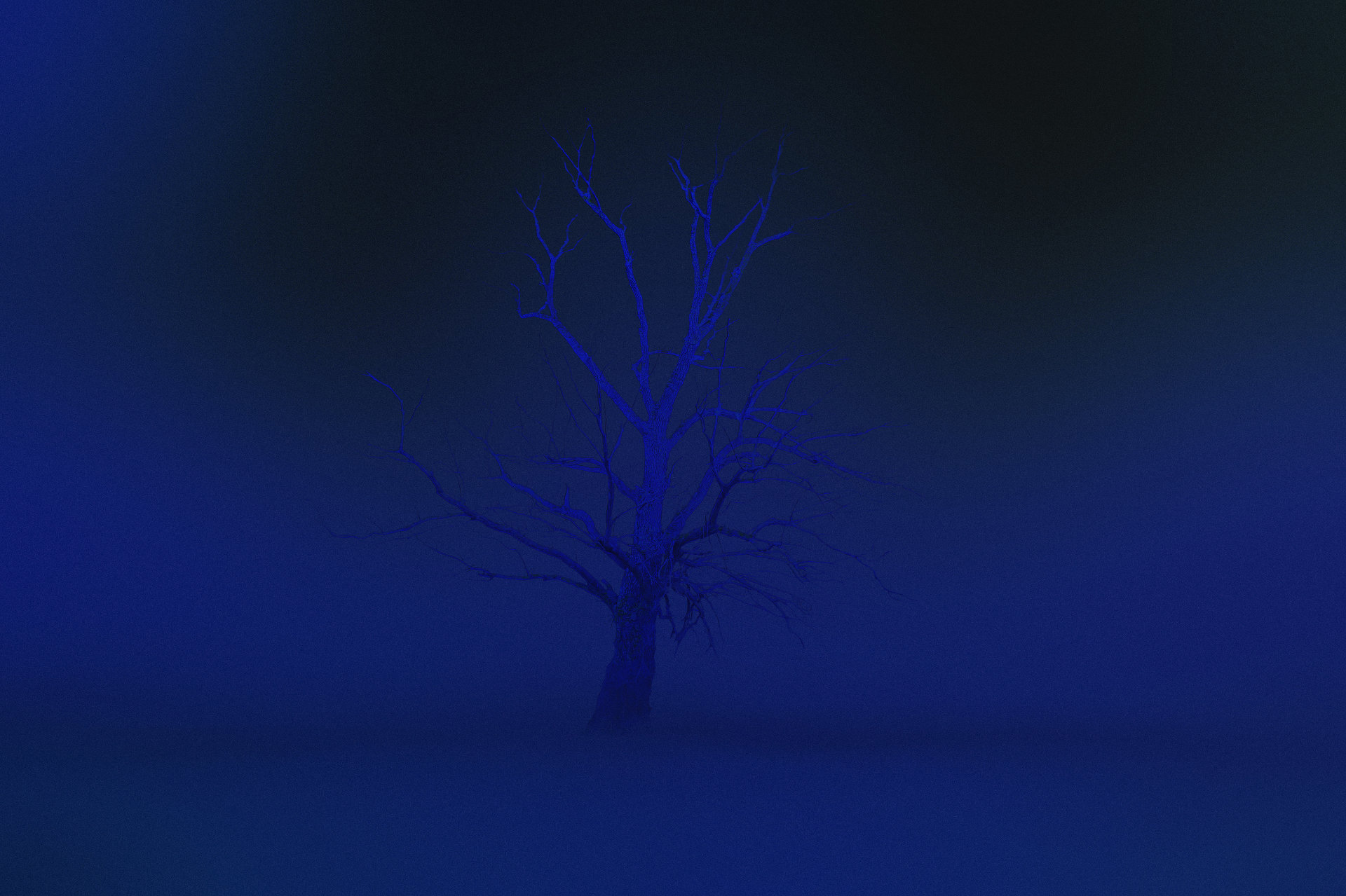 Johann Fournier Sous les écorces nos coeurs cobalt